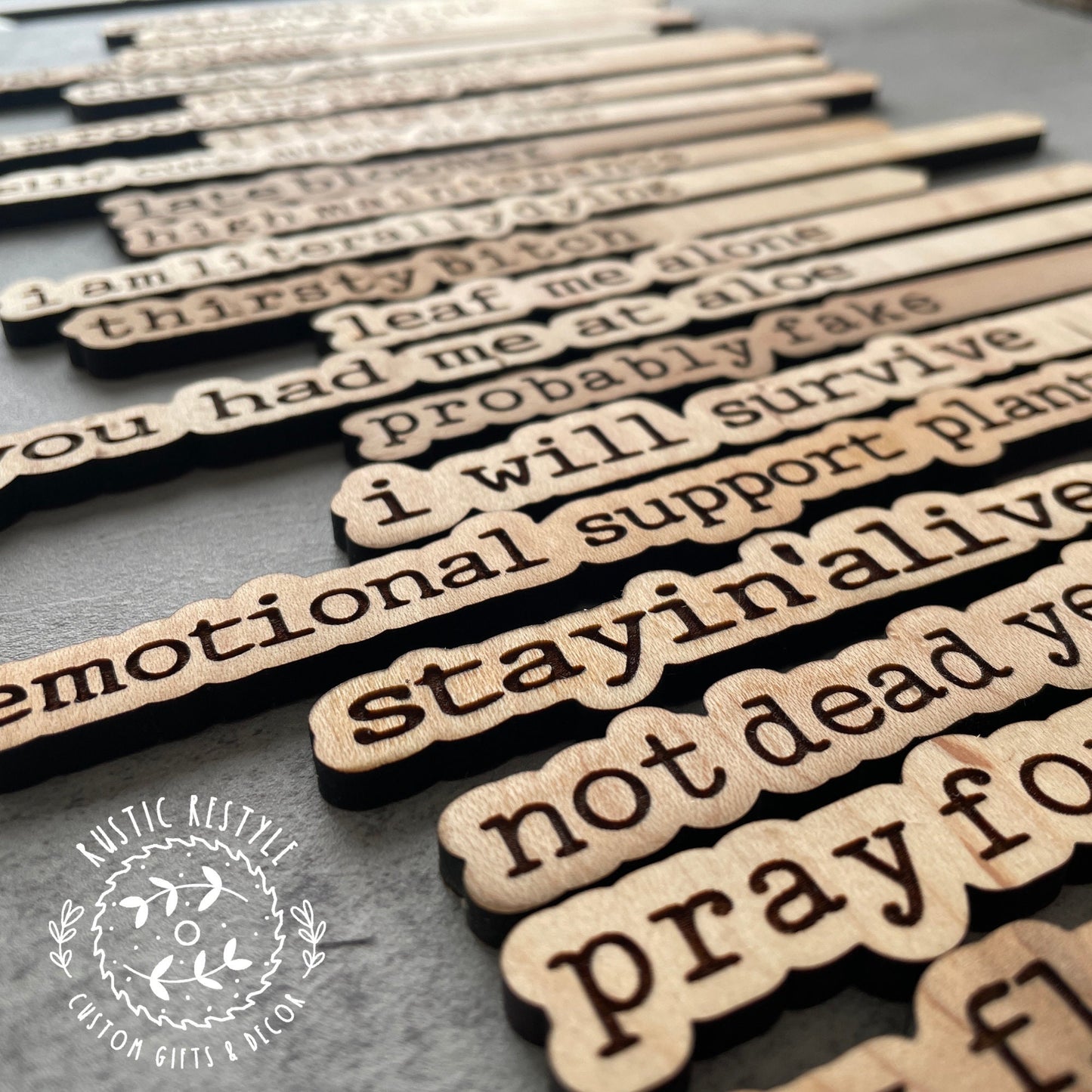 Funny indoor plant markers, wood plant tags for your house plants