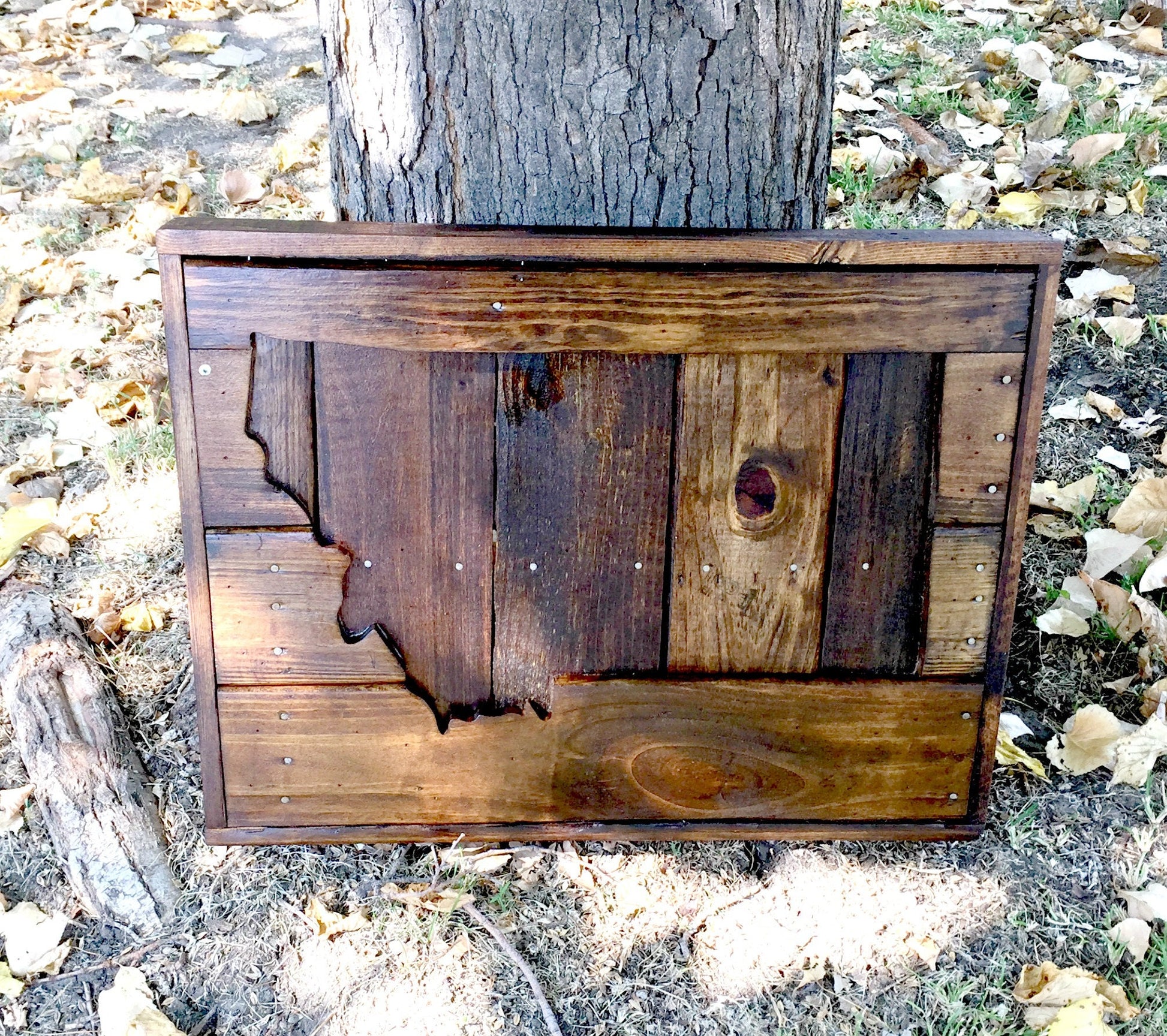 Rustic Minnesota Wood Sign – 24" State Wall Art