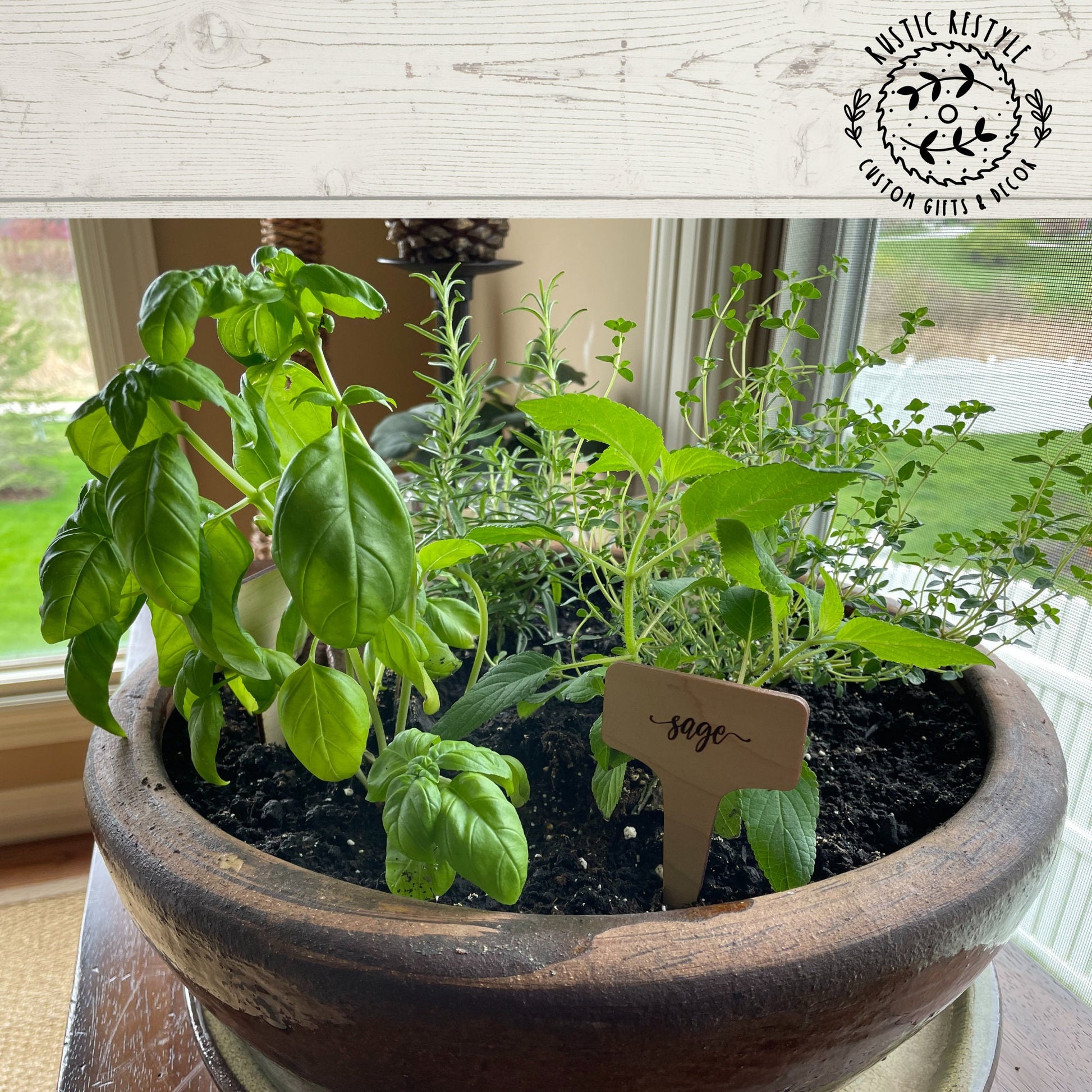 Set of 12 plant herb garden markers, wood plant tags